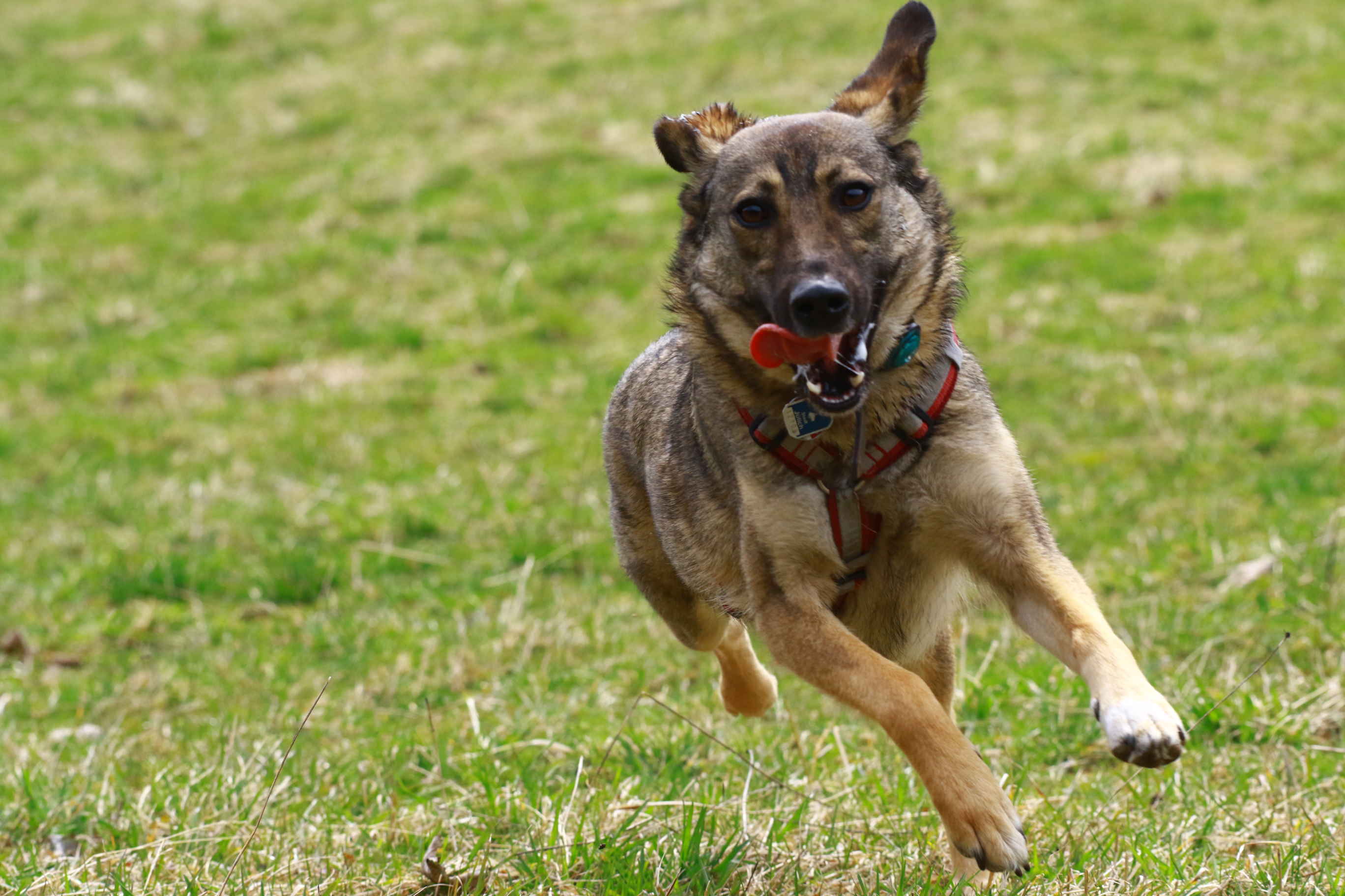 abschreckendesbeispiel.de